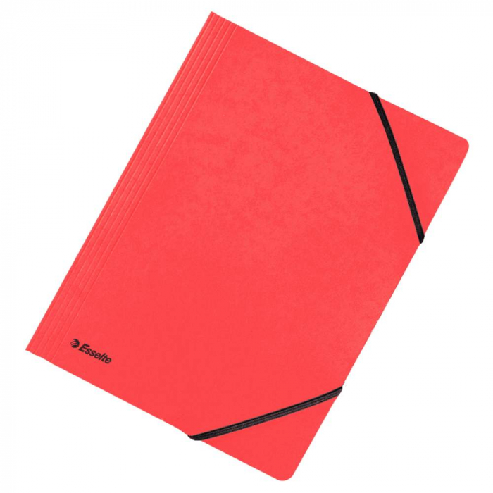 MAPA CARTON CU ELASTIC LUX ROSIE ESSELTE [1]