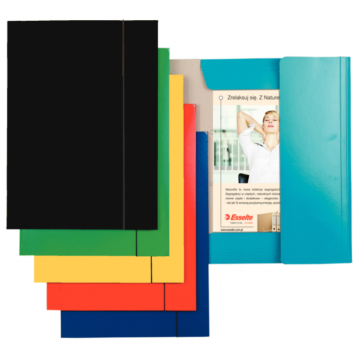 MAPA CARTON CU ELASTIC NEGRU ECONOMY ESSELTE [2]