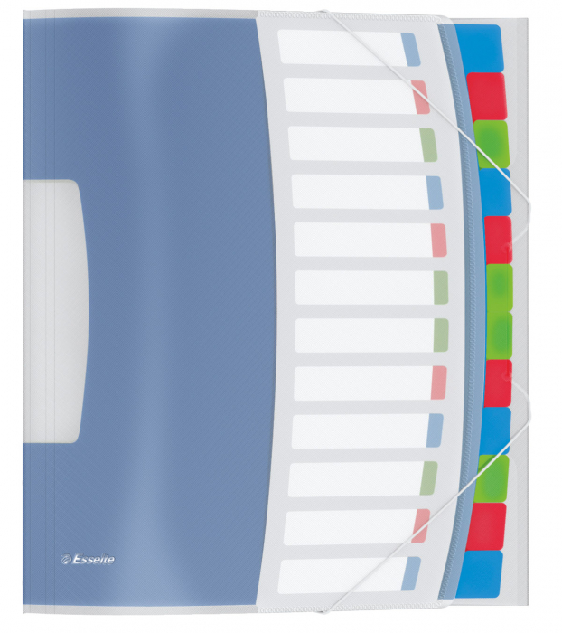 MAPA PLASTIC CU ELASTIC 12 COMPARTIMENTE VIVIDA ESSELTE [1]