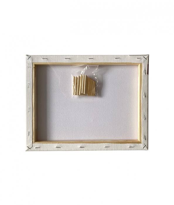 PANZA PENTRU PICTURA PE SASIU 24 x 30 CM SF ART PIGNA [2]