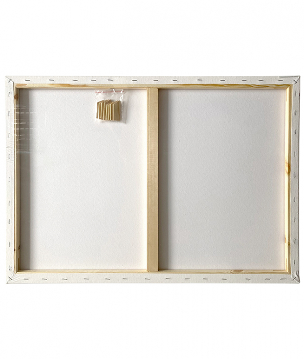 PANZA PENTRU PICTURA PE SASIU 50 x 70 CM SF ART PIGNA [2]
