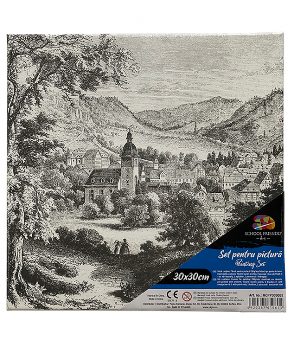PANZA PREDESENATA PE SASIU 30 x 30 CM PEISAJ SF ART PIGNA [1]
