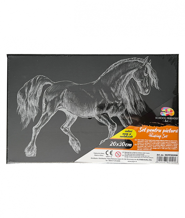 PANZA PREDESENATA PE SASIU NEAGRA 20*30CM CAL SF ART PIGNA [1]