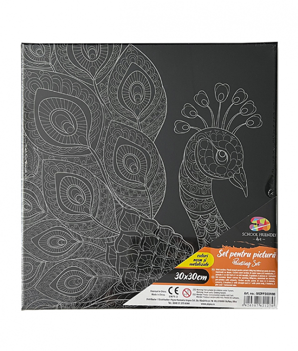 PANZA PREDESENATA PE SASIU NEAGRA 30*30CM PAUN SF ART PIGNA [1]