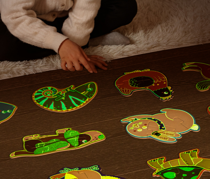 PUZZLE GEANTA CADOU 359 PIESE EFECT LUMINOS UNIVERS 5+ DELI [2]