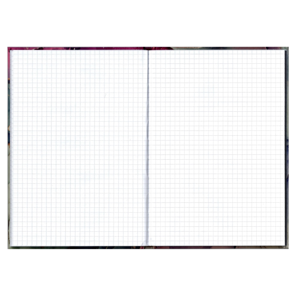 REGISTRU A5 96 FILE ARITMETICA DIVERSE MODELE EDUCA [2]