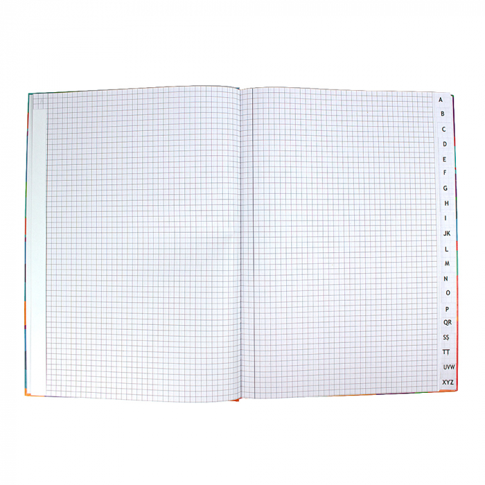 Registru repertoar A4 coperti cartonate 100 file [3]