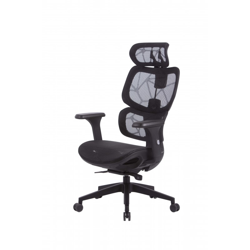 Scaun ergonomic de birou HumanTech [2]