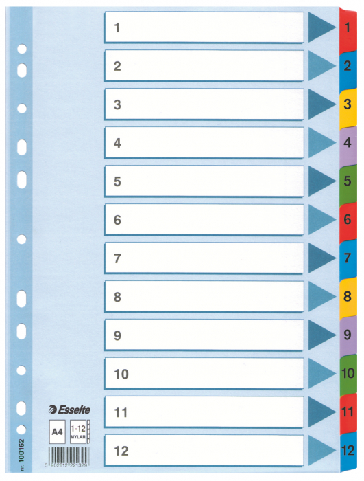 SEPARATOARE INDEX CARTON 1-12 MYLAR ESSELTE [1]