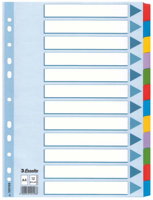 SEPARATOARE INDEX CARTON 12 COLI MYLAR ESSELTE [1]