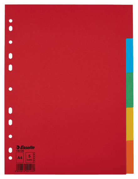 SEPARATOARE INDEX CARTON 5 CULORI ECONOMY ESSELTE [1]