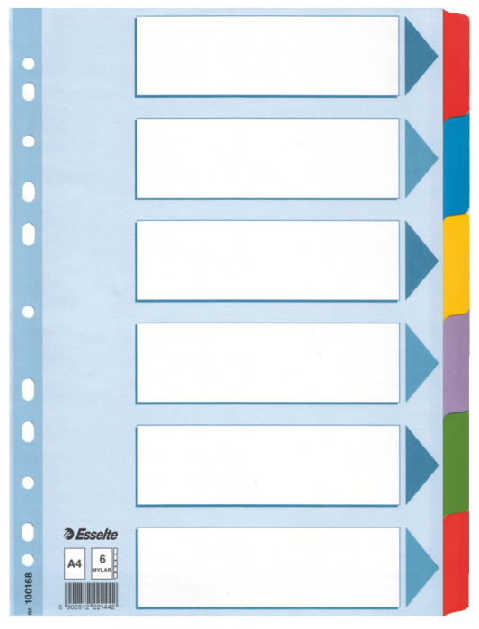 SEPARATOARE INDEX CARTON 6 COLI  MYLAR ESSELTE [1]