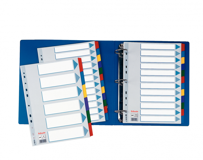 SEPARATOARE INDEX CARTON 6 COLI  MYLAR ESSELTE [2]