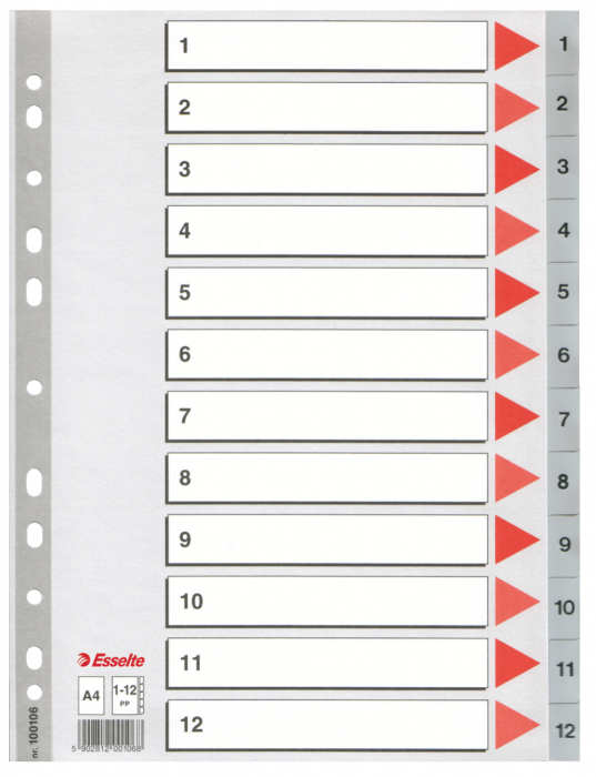 SEPARATOARE INDEX PLASTIC 1-12 ESSELTE [1]