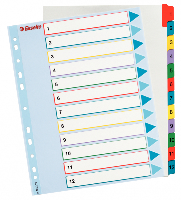 SEPARATOARE INDEX PLASTIC 1-12 REINSCRIPTIBIL ESSELTE [1]
