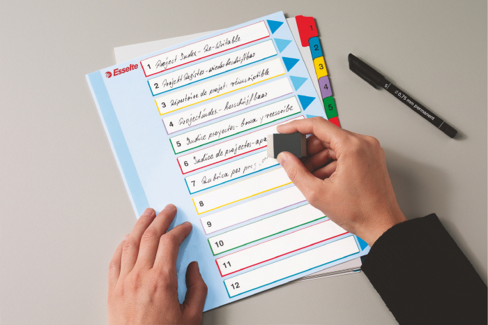 SEPARATOARE INDEX PLASTIC 1-12 REINSCRIPTIBIL ESSELTE [3]