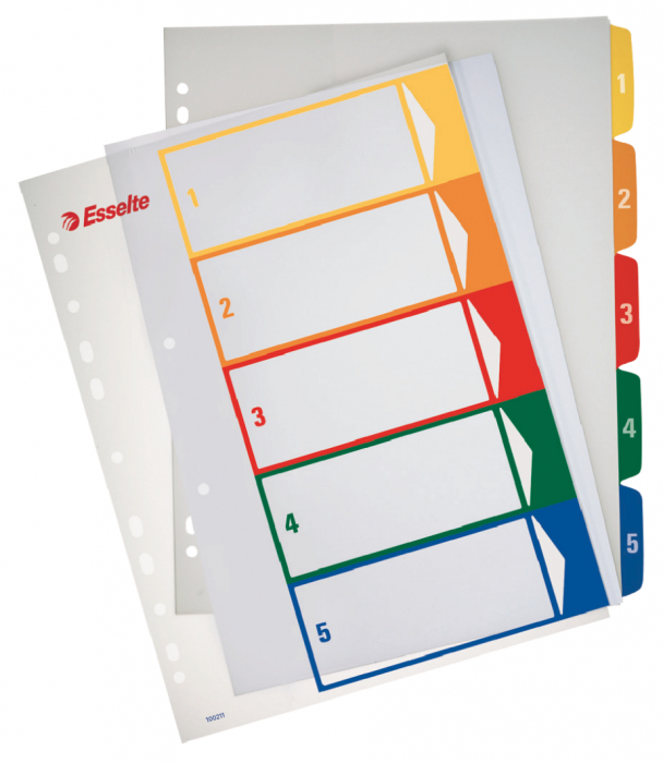SEPARATOARE INDEX PLASTIC 1-5 IMPRIMABIL ESSELTE [1]