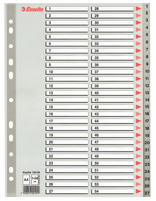 SEPARATOARE INDEX PLASTIC 1-54 MAXI ESSELTE [1]
