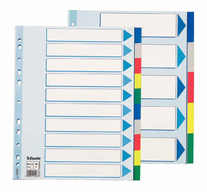 SEPARATOARE INDEX PLASTIC 10 CULORI MAXI ESSELTE [1]
