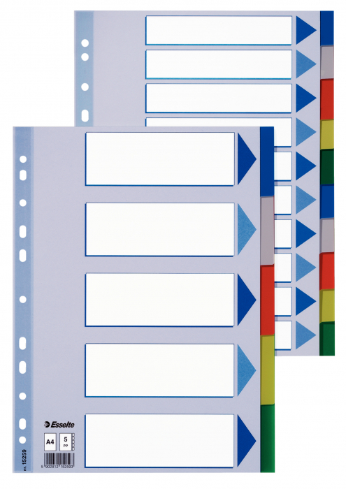 SEPARATOARE INDEX PLASTIC 5 CULORI ESSELTE [3]