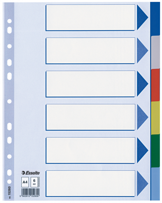 SEPARATOARE INDEX PLASTIC 6 CULORI ESSELTE [1]