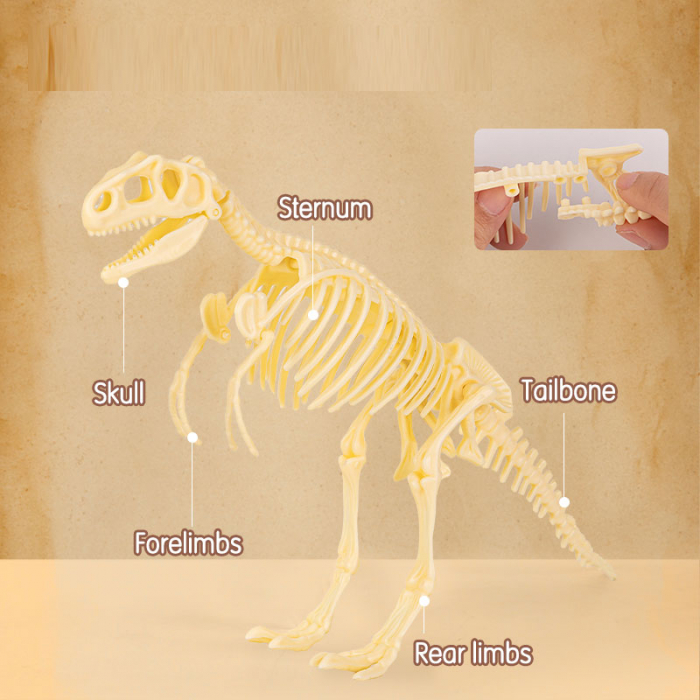 SET CREATIV FOSSILE DETECTIVE TYRANNOSAURUS DELI [4]