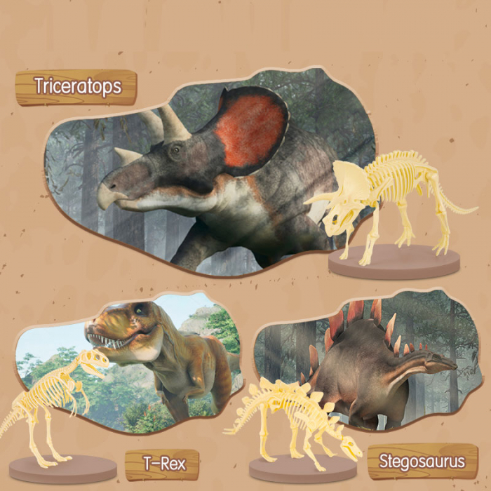 SET CREATIV FOSSILE DETECTIVE TYRANNOSAURUS DELI [2]