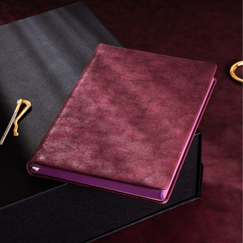 Agenda datata Paje [3]