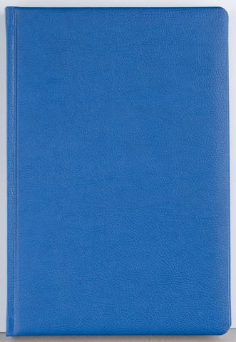 Agenda datata zilnic Office [5]