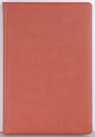 Agenda datata zilnic Office [1]