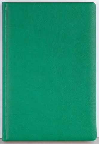 Agenda datata zilnic Office [4]