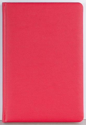 Agenda datata zilnic Office [3]