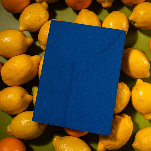 Agenda nedatata Canvas [2]