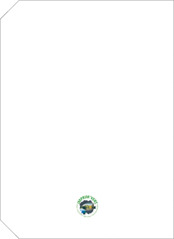 Agenda nedatata Linea [6]