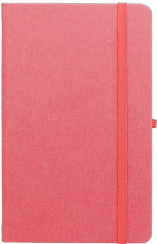 Agenda nedatata Notebook Pro 13x21cm [7]