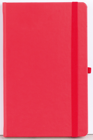Agenda nedatata Notebook Pro 13x21cm [7]