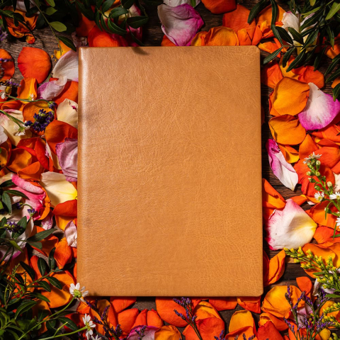 Agenda nedatata Zen [3]