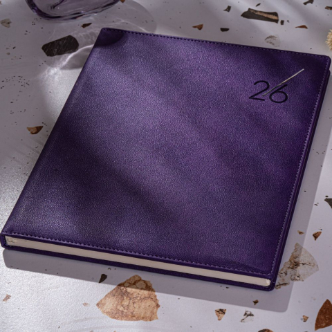 Agenda saptamanal nedatata True [4]