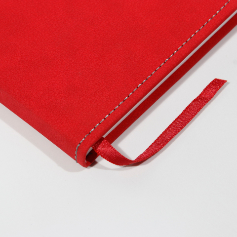 Agenda Senso RED * NEW [3]