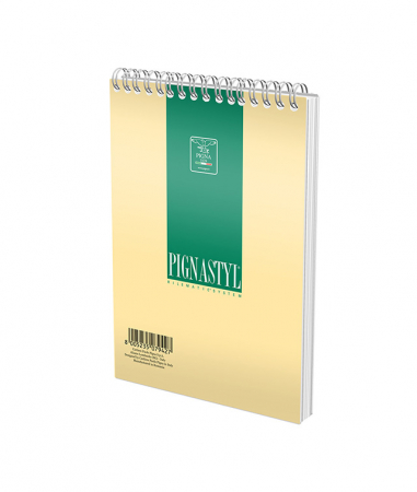BLOC NOTES SPIRA A6 60 FILE DICTANDO STYLE PIGNA [3]