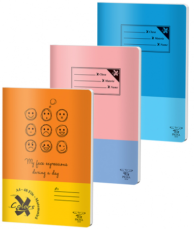 Produse si rechizite scolare - CAIET A4 48 FILE ARITMETICA BASIC PIGNA