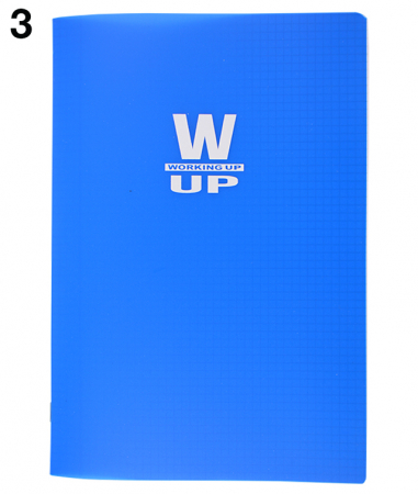 CAIET A4 60 FILE ARITMETICA COPERTA PP 230 ASORTATE WORKING UP PIGNA [3]