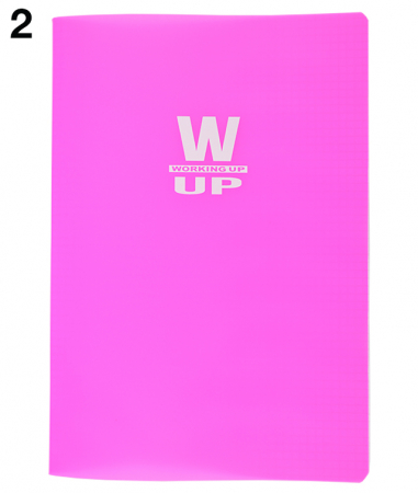 CAIET A4 60 FILE ARITMETICA COPERTA PP 230 ASORTATE WORKING UP PIGNA [2]