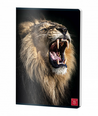 CAIET A4 60 FILE ARITMETICA COPERTA PP PIGNA [3]