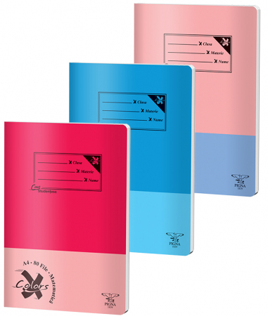 Produse si rechizite scolare - CAIET A4 80 FILE ARITMETICA BASIC PIGNA