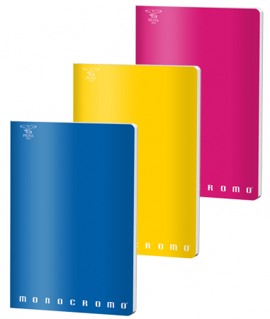 Produse si rechizite scolare - CAIET A4 80 FILE ARITMETICA MONOCROMO PIGNA