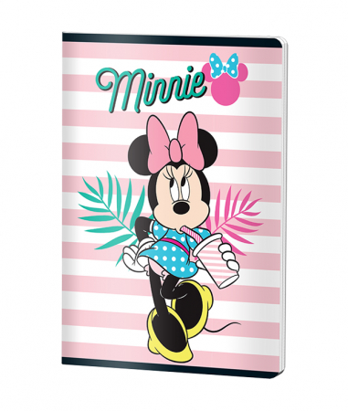 Produse si rechizite scolare - CAIET A5 48 FILE DICTANDO MINNIE PIGNA