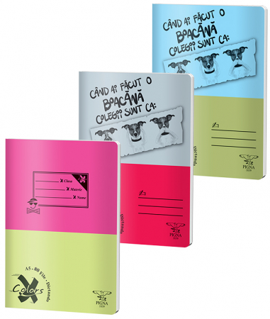 Produse si rechizite scolare - CAIET A5 80 FILE DICTANDO BASIC PIGNA