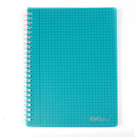Caiet A5 cu spira metalica, microperforatii si coperti plastic, 100 file - matematica 
