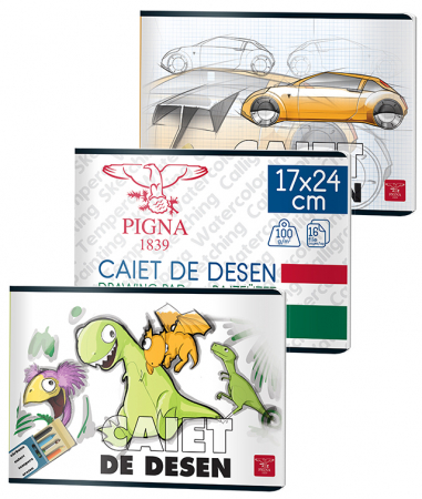 Produse si rechizite scolare - CAIET DESEN 16 FILE 110G PIGNA